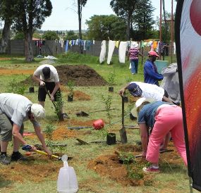 ACS-Embrace Social Resp. Tree Planting ACS-Embrace Social Resp. Tree Planting ERP
